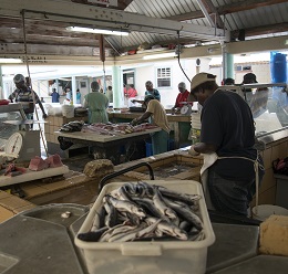 First Meeting of the WECAFC Regional Working Group on IUU Fishing ...