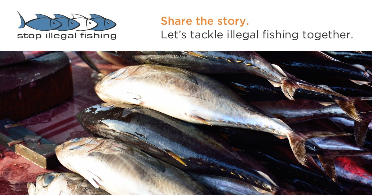 Stronger Rules Needed for Widely-Used Tuna Fishing Gear in Pacific Ocean –  Stop Illegal Fishing