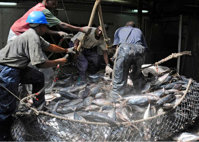 Front cover for A recent report questions  ‘Is the EU IUU Regulation working?’