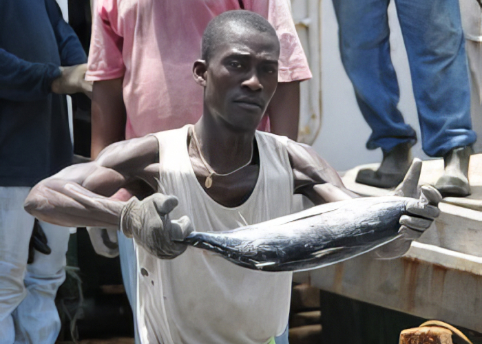 Front cover for Ghana makes progress in the fight against IUU fishing