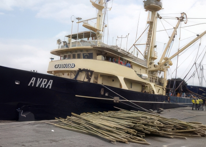 Front cover for Stop Illegal Fishing Annual Report 2016