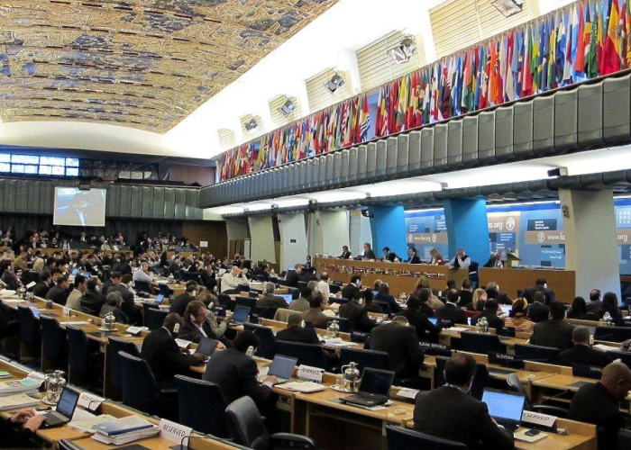 Front cover for The African Group Statement on combating IUU fishing at the 30th Session of COFI