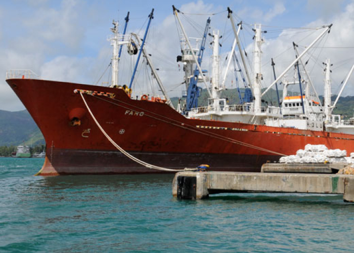 Front cover for COFI 35 endorses Voluntary Guidelines for Transshipment