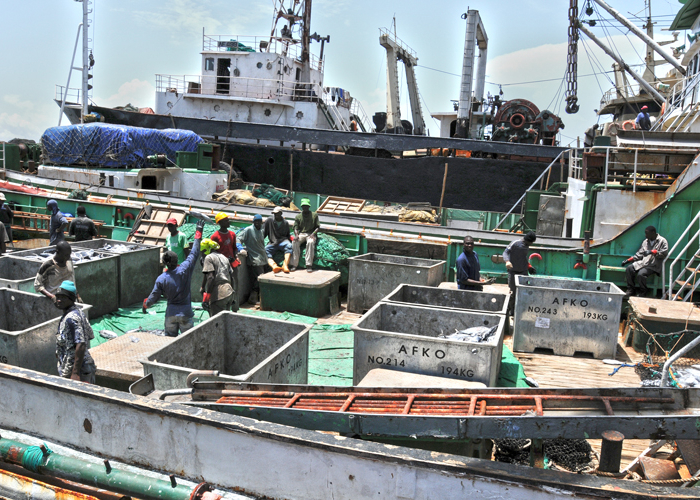 Front cover for New: Evidence Collection Manual for Fisheries Enforcement: Implementing Port State Measures