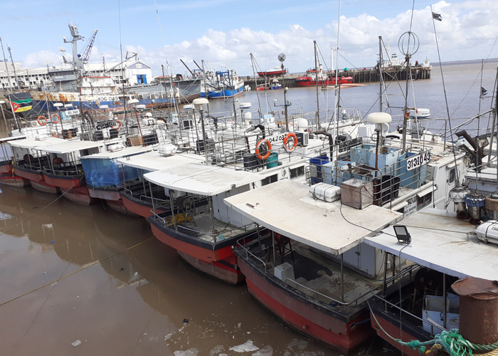 Front cover for Growing Blue and the value of ports for sustainable fishing