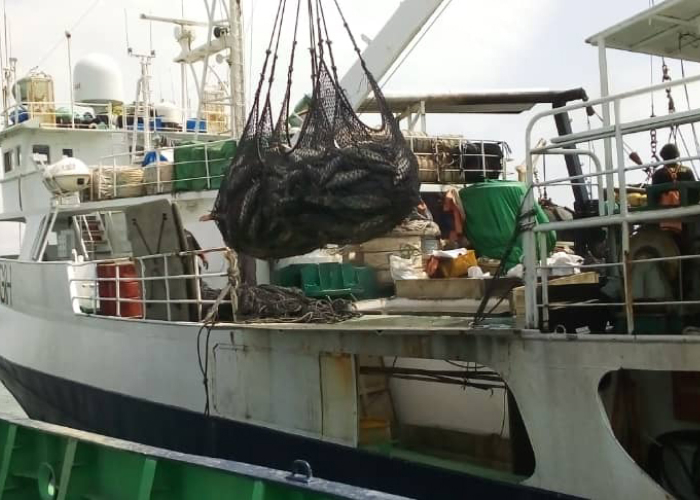 Front cover for PSM-SIF provides remote mentoring support for in-port inspections