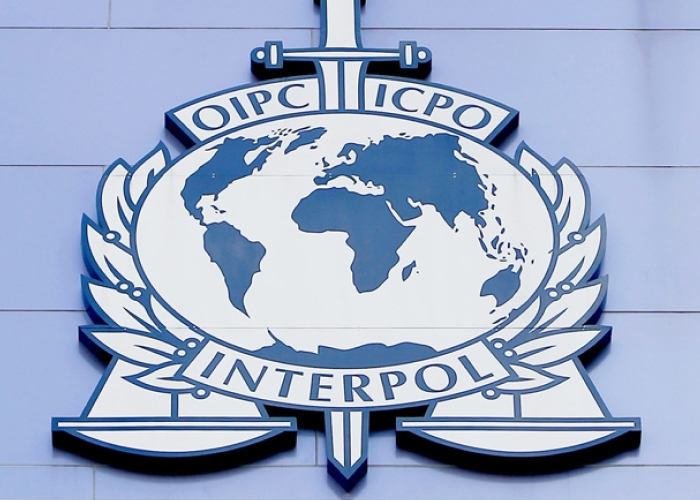 Front cover for Global fisheries enforcement guide published by INTERPOL