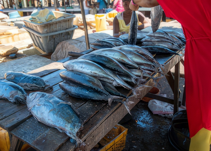 Front cover for Port State Measures to Stop Illegal Fishing supports FAO workshop in Madagascar
