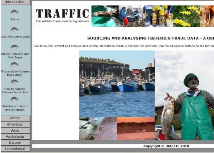 Front cover for TRAFFIC launches online guide to fisheries trade data