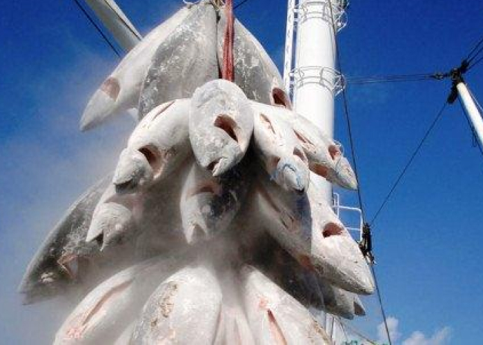 Front cover for Spanish flagged vessel refuses to show fishing license to Ivorian officer – undermining regional efforts to stop illegal fishing in west Africa